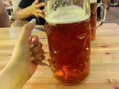 -第35届青岛国际啤酒节