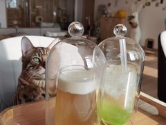 -猫腻·猫咖·撸猫馆(星光大道店)
