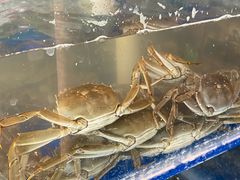 -阳澄湖大闸蟹·琼灵阁牌品牌连锁(吴中总店)