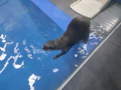 -太平洋海底世界