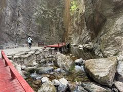 -牛背梁国家森林公园