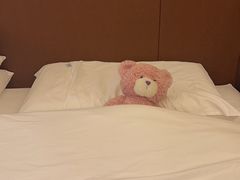 -北京崇文门桔子水晶酒店