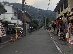 -有栖山 清光院 清水寺