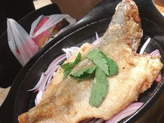 -九毛九西北菜(大东海店)