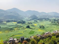 -牛街螺丝田