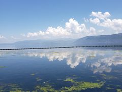 -才村湿地公园