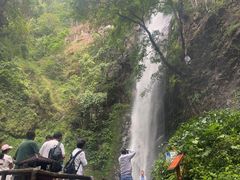 -莫里热带雨林景区