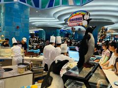 -帝企鹅自助餐厅•儿童岛•真企鹅(长隆企鹅酒店)