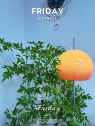 -变美丽半永久纹眉连锁·机器野生眉·洗眉