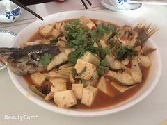 -煲来饱去冷水鱼