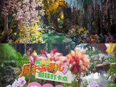 -正佳雨林生态植物园