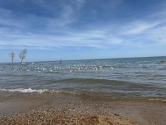 -青海湖国家重点风景名胜区