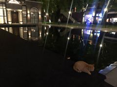 -顶层酒吧ROOF(上海艾迪逊酒店)
