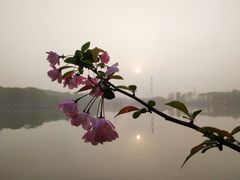 -昆山城市生态森林公园