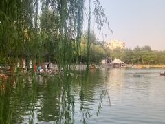 -莲湖公园