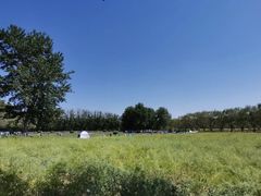 -天津武清北运河郊野公园房车露营地