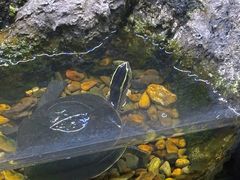-中国湿地博物馆