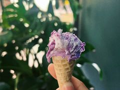 -鹤茶野所(上海首店)