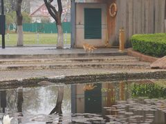 -听松楼·花园酒店·自助餐厅(红梅公园店)