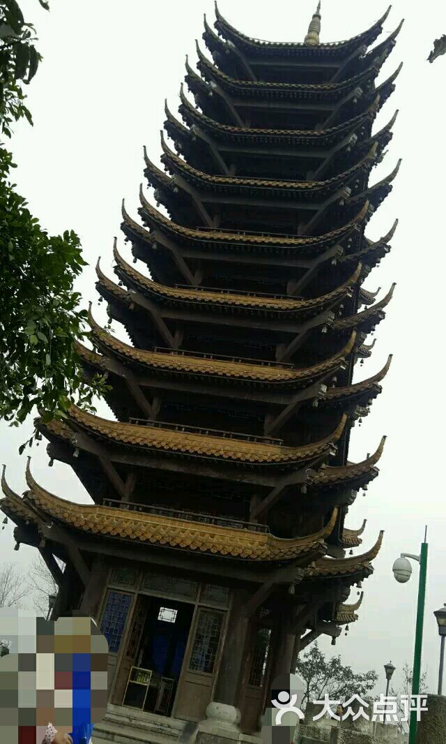 照母山森林公园图片 - 第9张