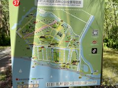 -合肥滨湖国家森林公园
