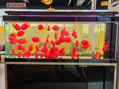 -上海和展广汽丰田4S店(老闵行店)