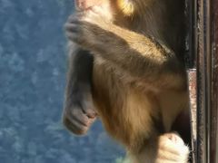 -重庆云阳龙缸景区