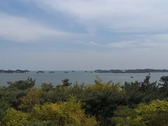-松岛