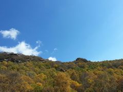 -驼梁风景区
