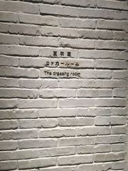 -IDOL-PLUS