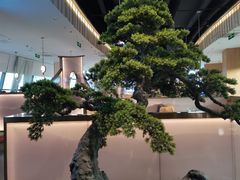 -马家斑.鲜鱼火锅(松湖万科店)