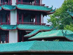 -桂湖森林公园