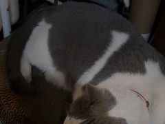 -后院儿·精酿·塔罗Happy Bar