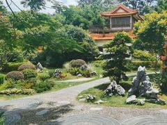 -深圳仙湖植物园