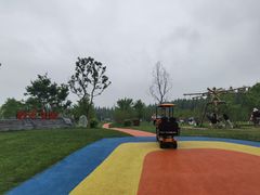 -黄海国家森林公园