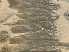 -那琴半岛地质海洋公园