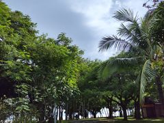 -深圳湾公园(南山区)