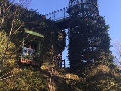 -三鹰之森吉卜力美术馆