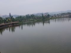 -枫香湖儿童公园