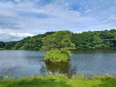 -福建鲤鱼洲酒店