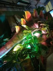 -恐龙探索乐园(磁器口店)