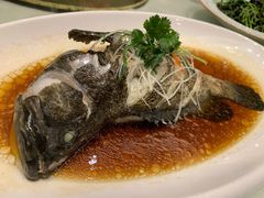 -骏莱海鲜鱼港(五角场店)