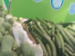 -大润发(王庄店)