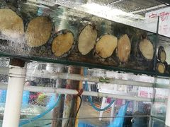 -海香园饭店