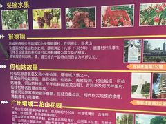 -荔枝红五号农庄