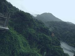 商户图片-鼎湖山风景区