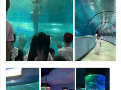 -苏州海洋馆
