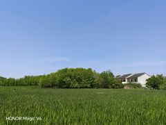 -梁鸿国家湿地公园