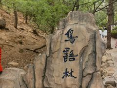 -燕塞湖鸟语林景区