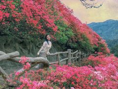 -木兰云雾山